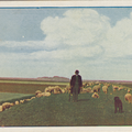 087 - Melissantschedijk. Herder met schapen.